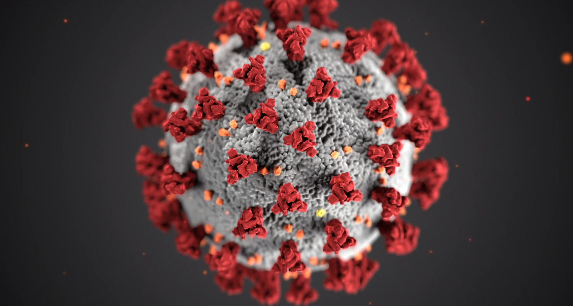 coronavirus