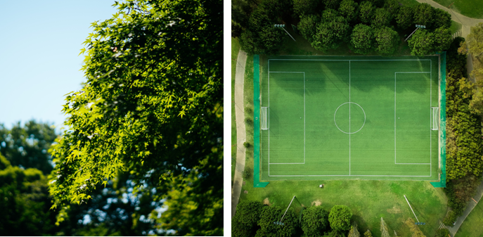 Soccer Field