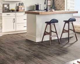 Hardwood Floors